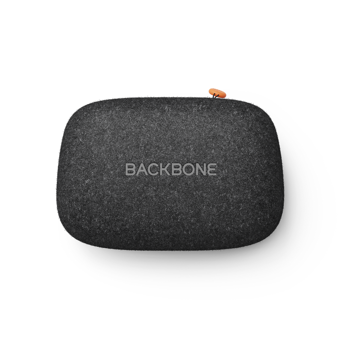 Backbone universal case